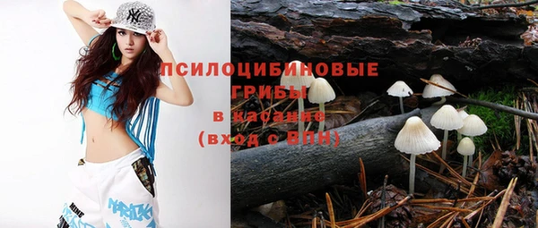 PSILOCYBIN Верхний Тагил