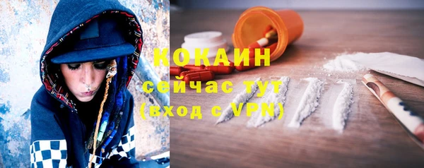 PSILOCYBIN Верхний Тагил
