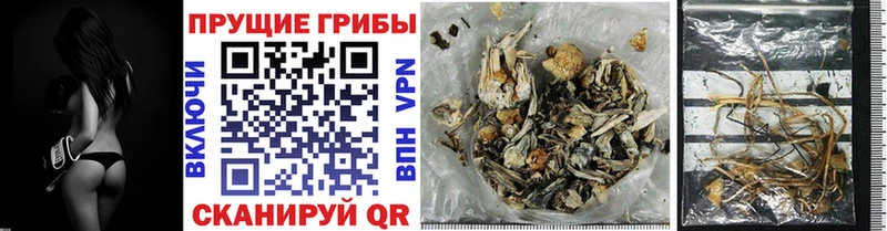 Псилоцибиновые грибы Cubensis  Воткинск 